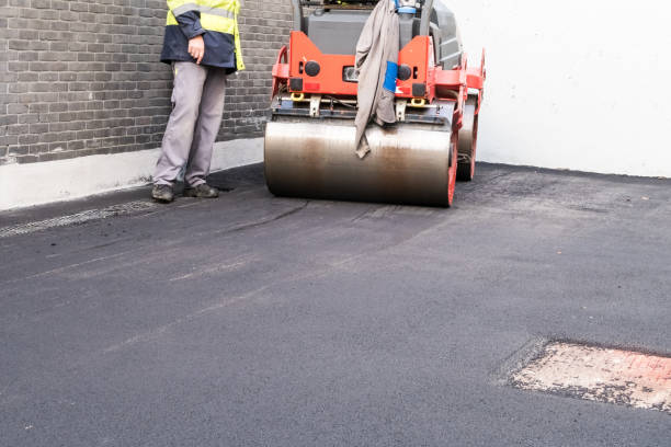 Best Driveway Border and Edging  in Sun City Center, FL